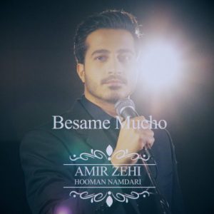 دانلود آهنگ جدید امیر زهی به نام Besame Mucho